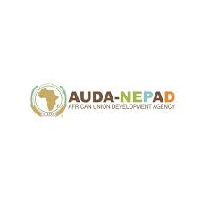 AUDA NEPAD logo